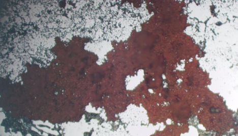 4c8ece03-81e9-4f86-9447-ab8f51cec757.png